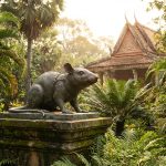 découvrez l'histoire étonnante d'un rat démineur devenu héros au cambodge, honoré par une statue commémorative qui célèbre son courage et son rôle crucial dans la déminage.